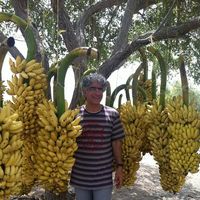 Yassir Abdel-Hafez的照片