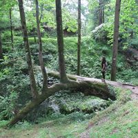 Kamila Goszczyńska的照片