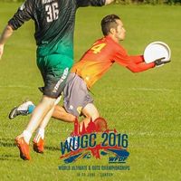 Le foto di Rodrigo Arratia Díez