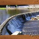 Ir a Cosquin 的照片