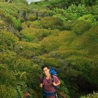 Fotos de Luis Felipe Bórquez Meza