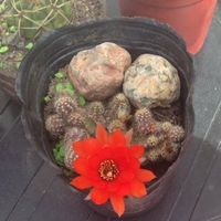 Фотографии пользователя Brenda Mendietum