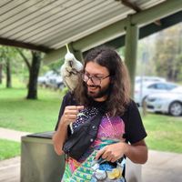 Mark Morcos的照片