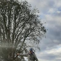 Richard Rommel的照片