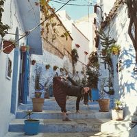 Barbara Lewin's Photo