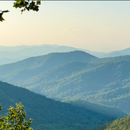 Hiking day trip (not far from Tbilisi)'s picture