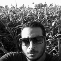 Waleed Abody's Photo