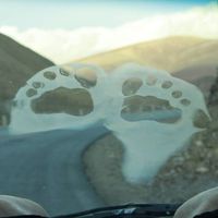 Dani Kindgard's Photo