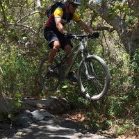 Todd Robertson的照片