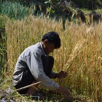 Dharmendra Chaudhary's Photo