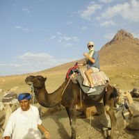 Фотографии пользователя Paris Elvio Merico