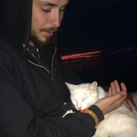 Nicolas Healey的照片