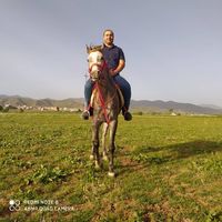 Fotos de Zana Ayoubi