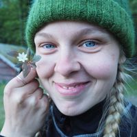 Solveij Mailänder的照片