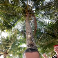 Dragan's Photo