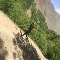 vefa traveller's Photo