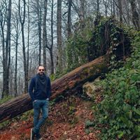 ramin Irani的照片