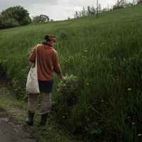 barbara  pisa的照片