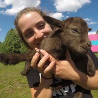 Nikki Russell's Photo