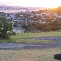 Rebecca V. Zangen's Photo