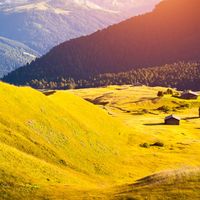 Вася иванов的照片