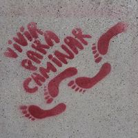 Tsvetelina Dimova's Photo