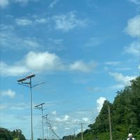 Veronique Odu的照片