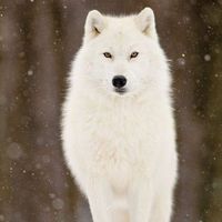 Giannis Vasileiadis's Photo