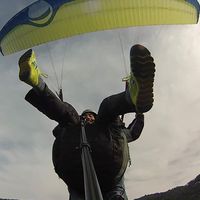 Alejandro Colli的照片