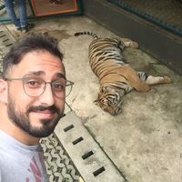 Le foto di Raed Hijazi