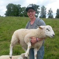 Gustav Mattsson's Photo