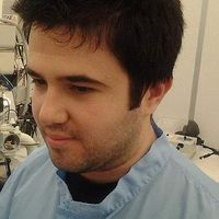 Photos de Umut Çindemir