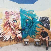 Stephen Clough的照片