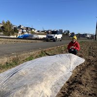 Zdjęcia użytkownika Sayuri Kasai