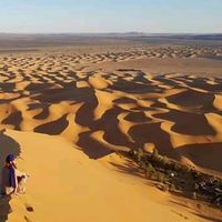 Med Amine Ben的照片