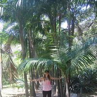 Lisa Armellini的照片