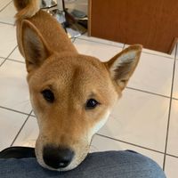 Rosamary Fernandez's Photo