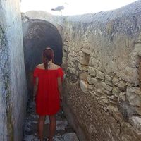 Virginie Lhommedieu Carpentier's Photo