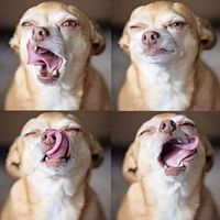 Matthew Freyta's Photo