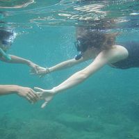 Ashley McLean的照片