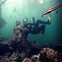 Photos de Tammy Lang