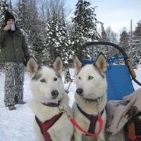 Matthijs Derks的照片