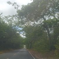 Saskio Marcos's Photo