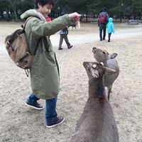 Kento Takabayashi's Photo