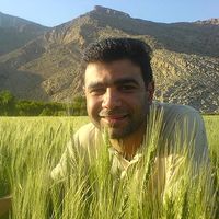 Hassan Dezfuli's Photo