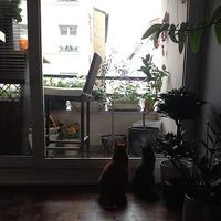 Cédric, Stéphane, Karl, Kate Duroux的照片