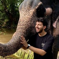 Ahd ElHammami的照片