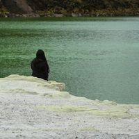 Isabel Henao的照片