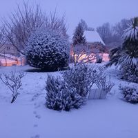 France Thomasse's Photo