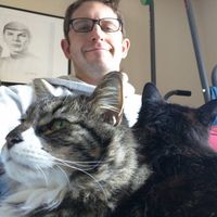 Fotos von Adam Piontek